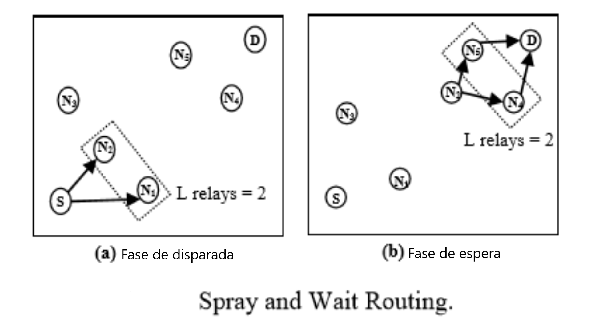 fases_do_protocolo_spray_and_wait